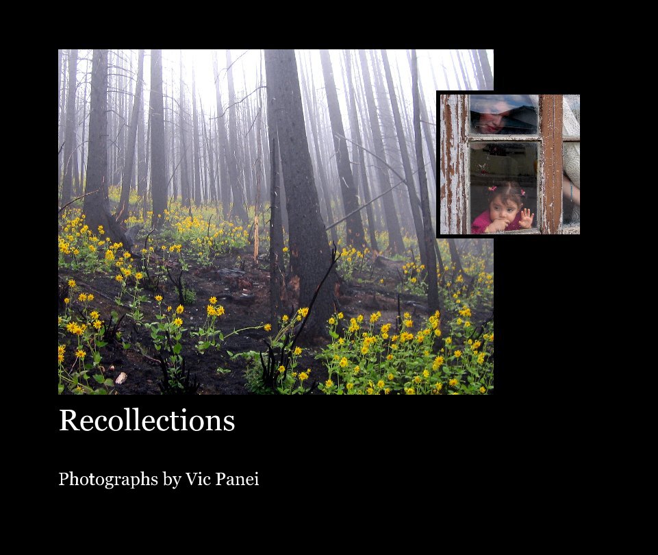 View Recollections by Vic Panei