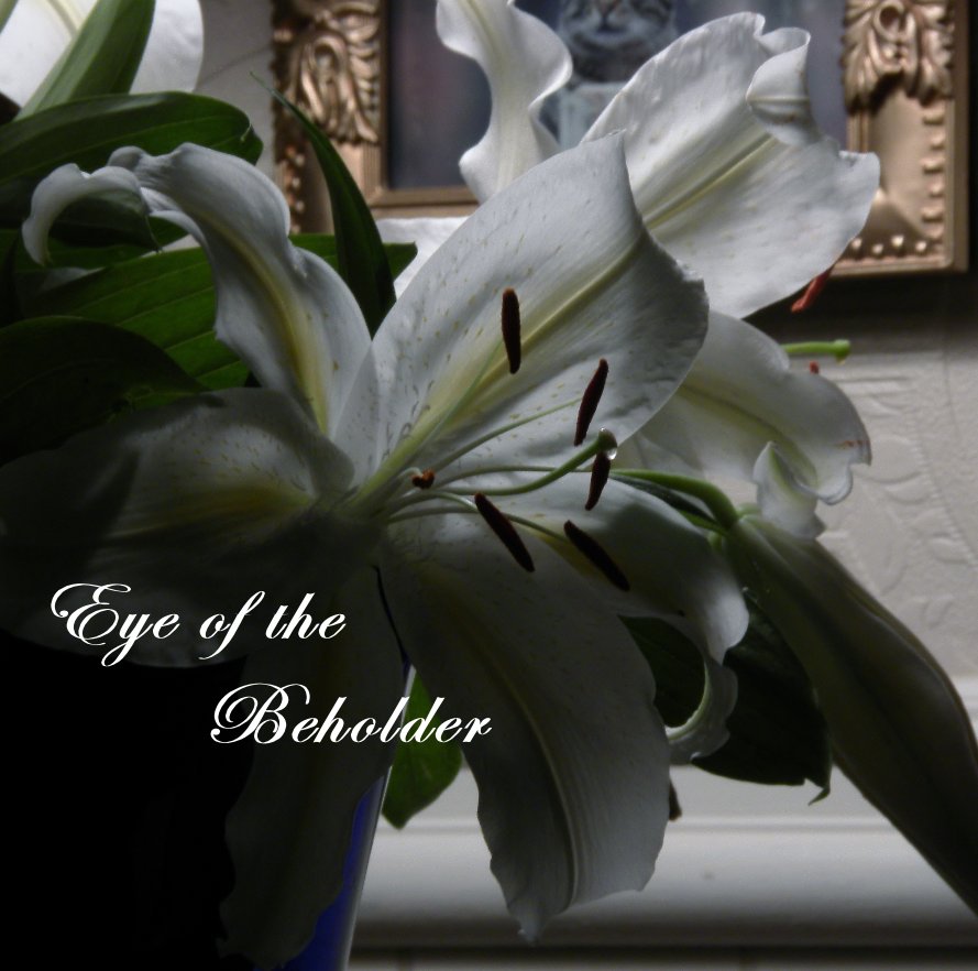 View Eye of the Beholder by Susan P. Paul