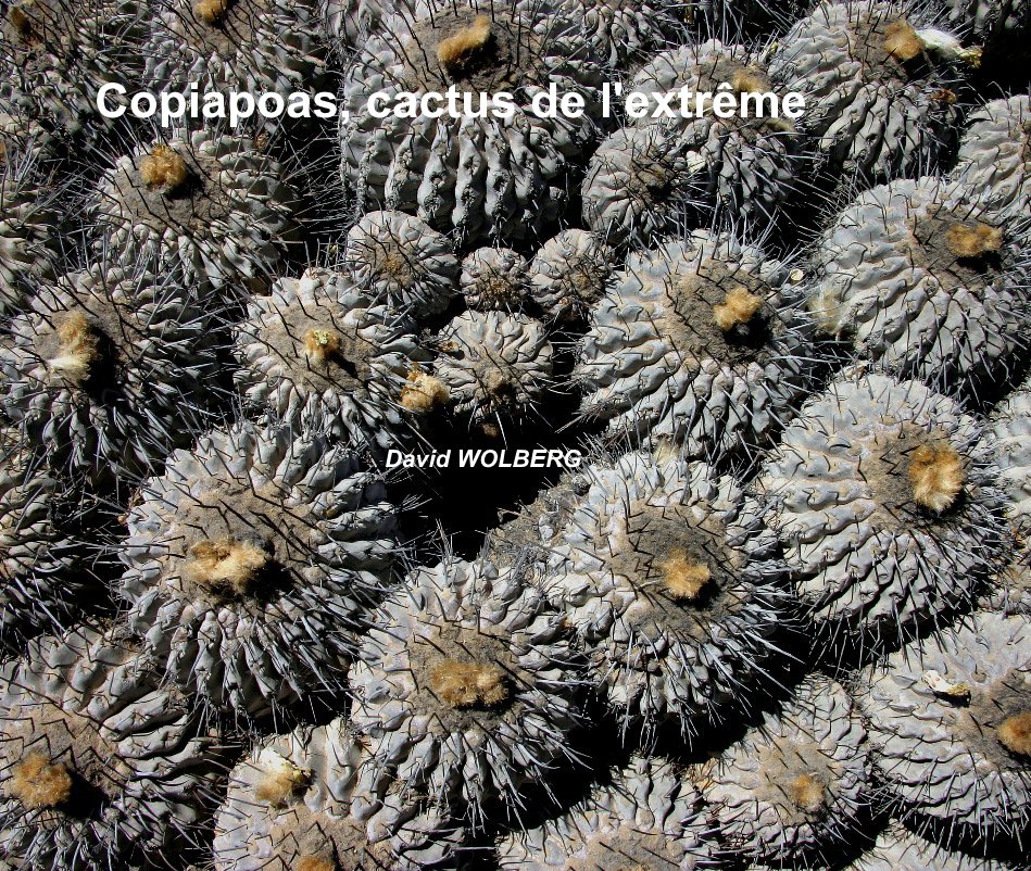 Ver Copiapoas, cactus de l'extrême por David WOLBERG