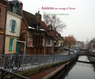 Amiens un voyage d 'hiver book cover