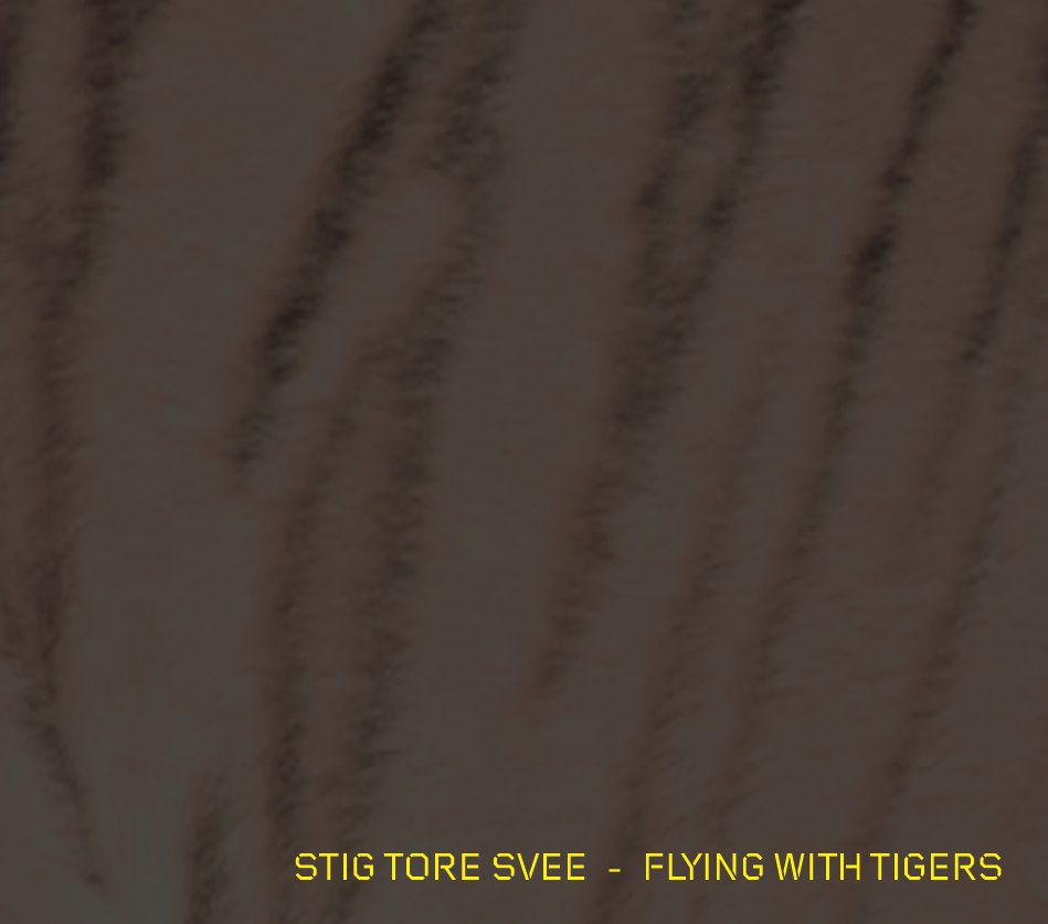 View Flying with Tigers by Helge Hopen, RNoAF