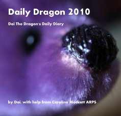 Daily Dragon 2010 book cover