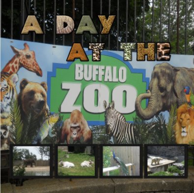 A Day at the Zoo book cover