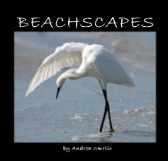 BEACHSCAPES book cover