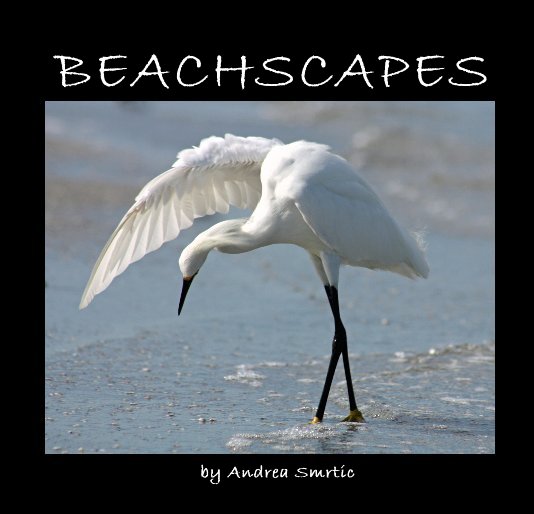 View BEACHSCAPES by Andrea Smrtic
