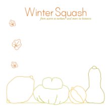 Winter squash book cover