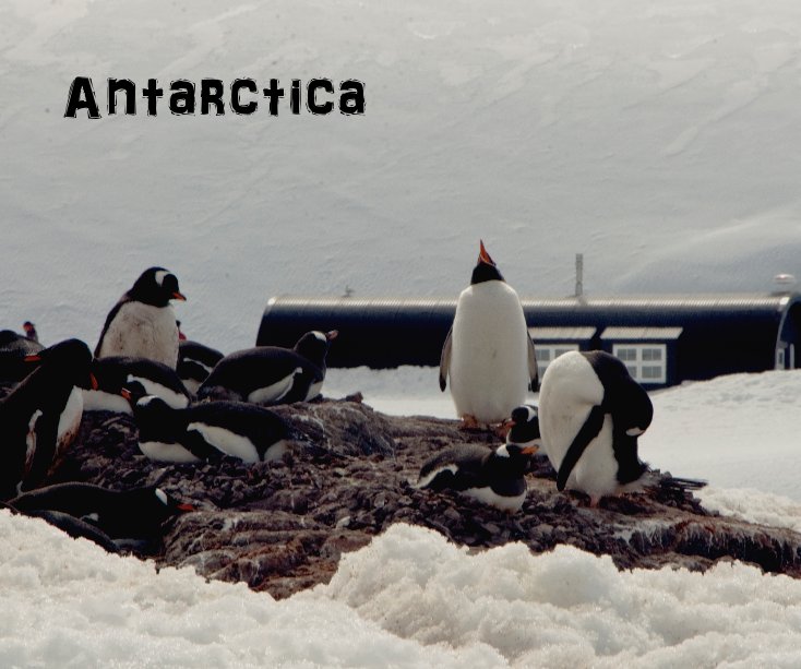 View Antarctica by Michael Newman