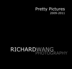 Pretty Pictures 2009-2011 book cover