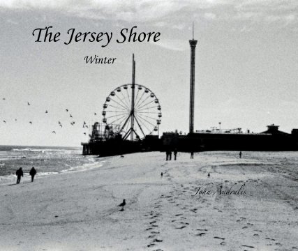 The Jersey Shore book cover