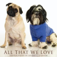 All That We Love book cover