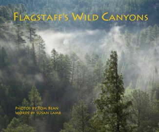 Flagstaff's Wild Canyons book cover