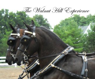 The Walnut Hill Experience book cover