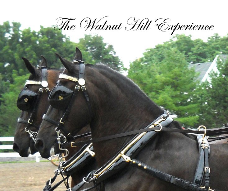View The Walnut Hill Experience by Irene Aizstrauts