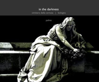 in the darkness book cover