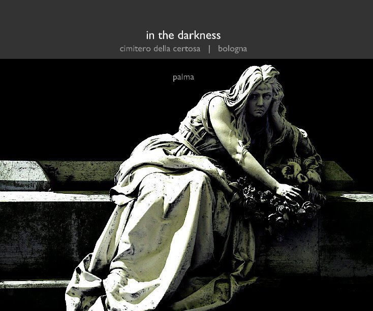 Visualizza in the darkness di James Palma