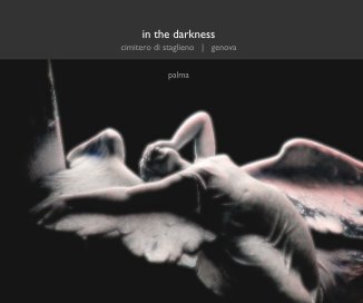 in the darkness book cover