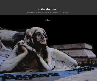 in the darkness book cover