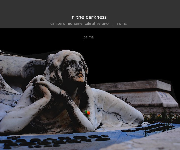 Bekijk in the darkness op James Palma