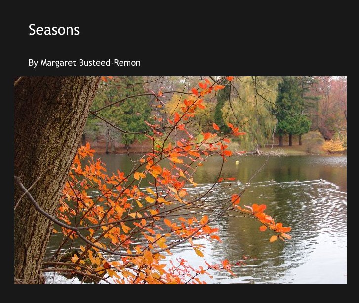 View Seasons by Margaret Busteed-Remon