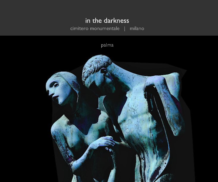 Ver in the darkness por James Palma