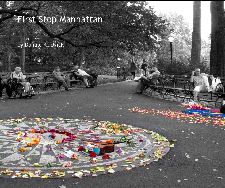 View First Stop Manhattan by Donald K. Uvick