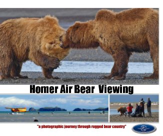 Homer Air Bear Viewing book cover