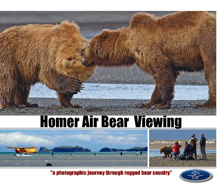 Bekijk Homer Air Bear Viewing op Ricky Sueltenfuss