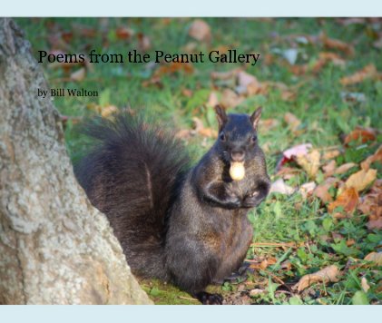 Poems from the Peanut Gallery book cover
