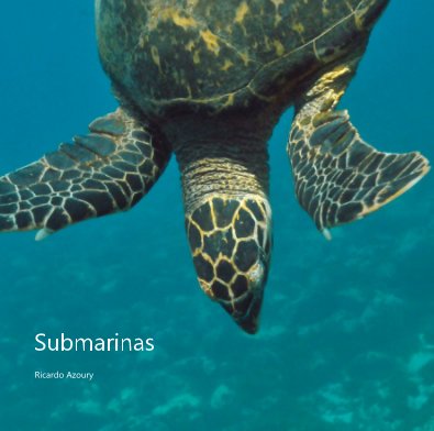 Submarinas book cover