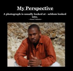 My Perspective book cover