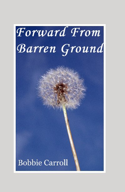 View Forward From Barren Ground by Bobbie (Carroll) Gross