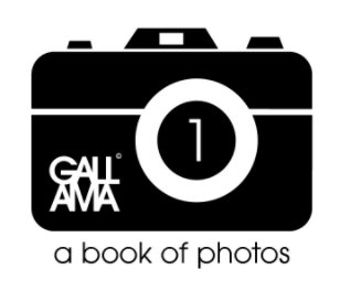 a book of photos - volume 1 book cover