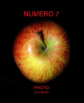 NUMERO 7 PHOTO Lino Sprizzi book cover