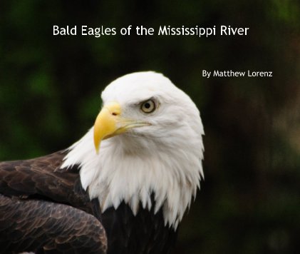 Bald Eagles of the Mississippi River book cover