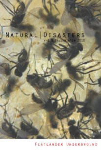 Natural | Disasters book cover