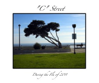 "C" Street book cover
