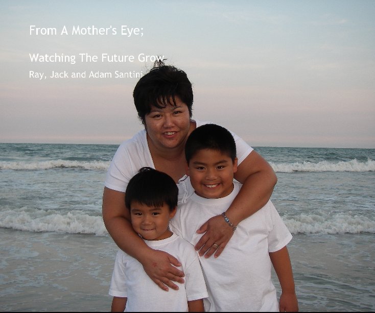 View From A Mother's Eye; by Ray, Jack and Adam Santini