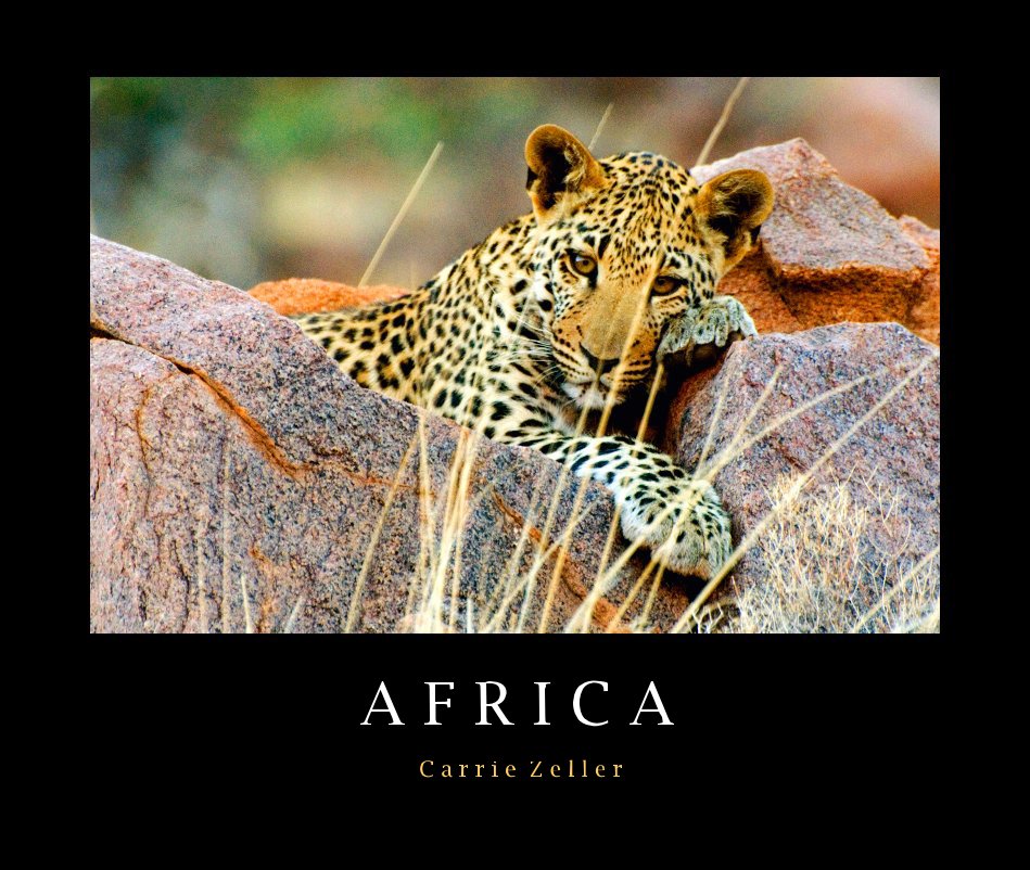 View AFRICA   by Carrie Zeller by C a r r i e Z e l l e r