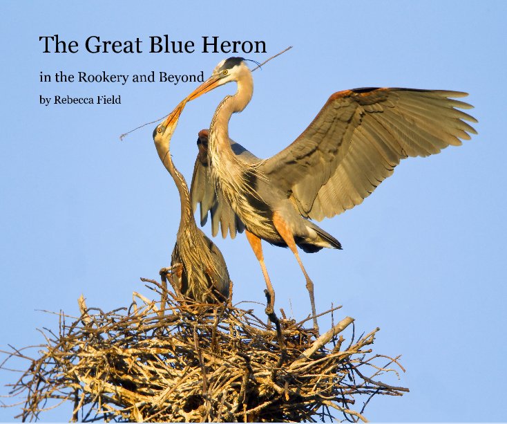 View The Great Blue Heron by Rebecca Field