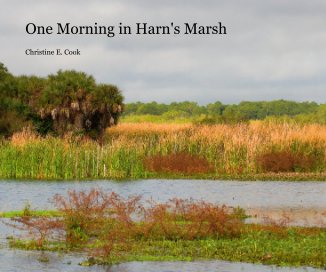 One Morning in Harn's Marsh book cover