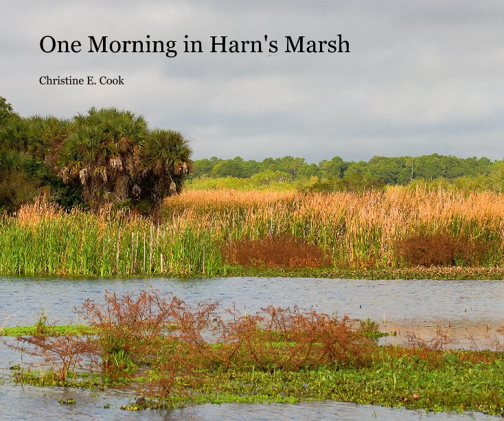 View One Morning in Harn's Marsh by Christine E. Cook