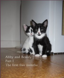 Abby and Beardy Part I book cover