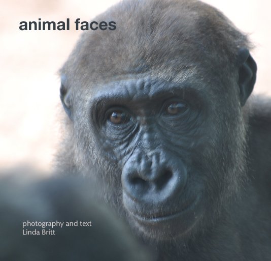 View animal faces by photography and text 
  Linda Britt