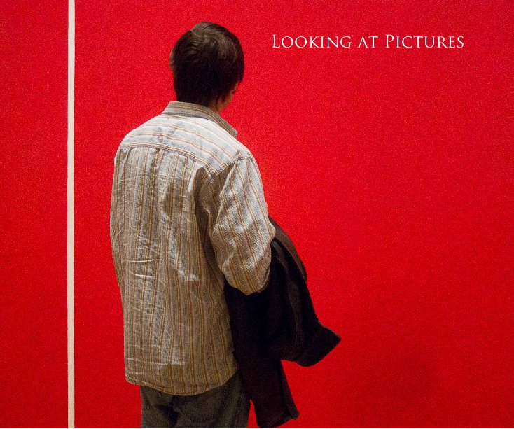 Ver Looking at Pictures por Victor Bloomfield