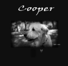 Cooper book cover