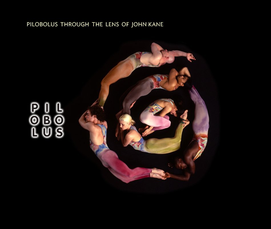 View PILOBOLUS THROUGH THE LENS OF JOHN KANE by John Kane