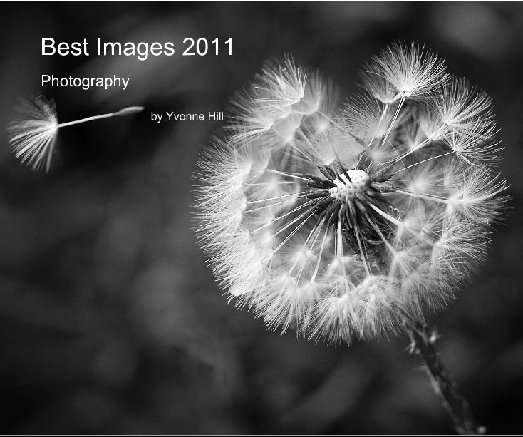 View Best Images 2011 by Yvonne Hill