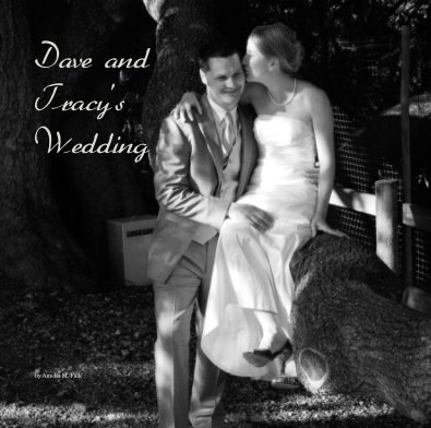 Dave and Tracy's Wedding book cover