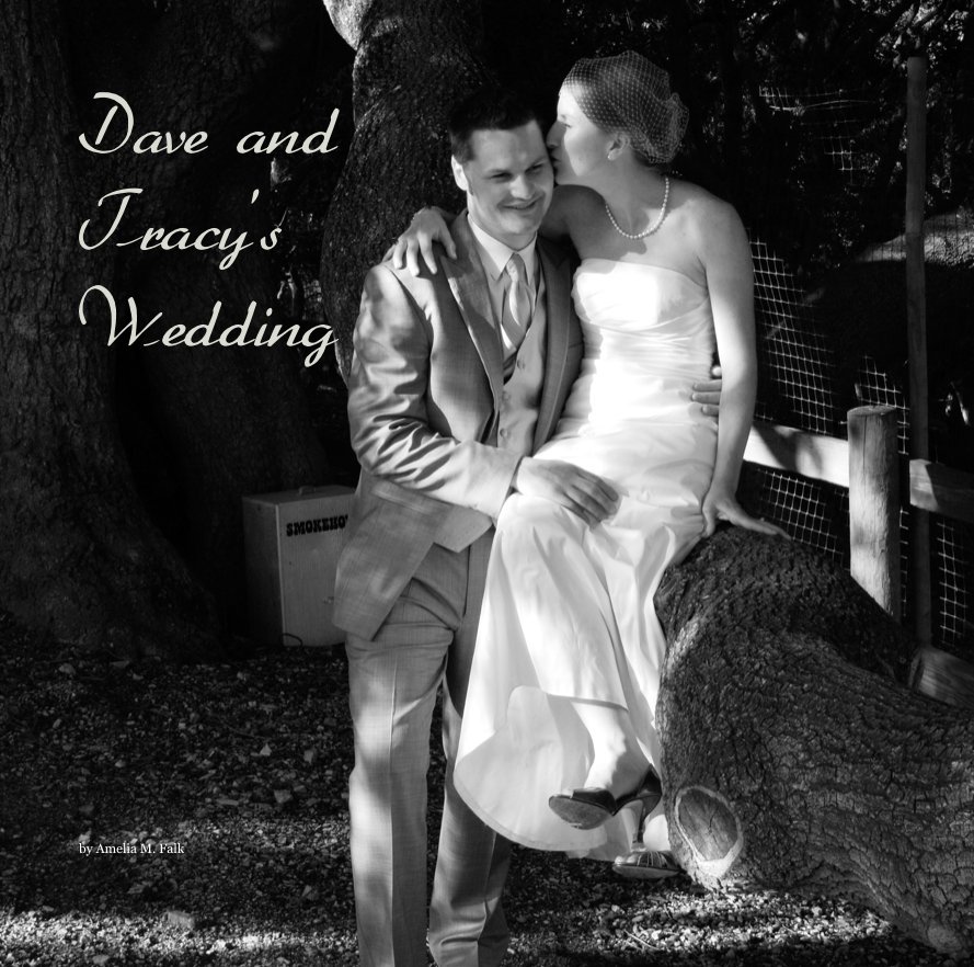 View Dave and Tracy's Wedding by Amelia M. Falk