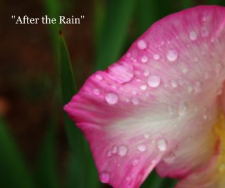 "After the Rain" book cover